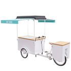Grande triciclo retro do gelado do armazenamento, &quot;trotinette&quot; bonde do gelado de EQT