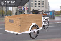 Bicicleta elétrica da carga do triciclo da estrutura de caixa para crianças