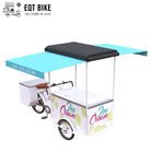 A bicicleta de EQT 138L ou de 110L Front Load Tricycle Ice Cream para a C.C. das vendas pôs o alimento Trike dos carros do triciclo do congelador