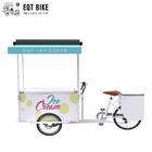 A bicicleta de EQT 138L ou de 110L Front Load Tricycle Ice Cream para a C.C. das vendas pôs o alimento Trike dos carros do triciclo do congelador