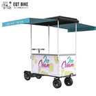 EQT 138 litros de bicicletas macias do gelado para a bicicleta do congelador da carga das férias de verão do carro do congelador da venda que vende o gelado elétrico