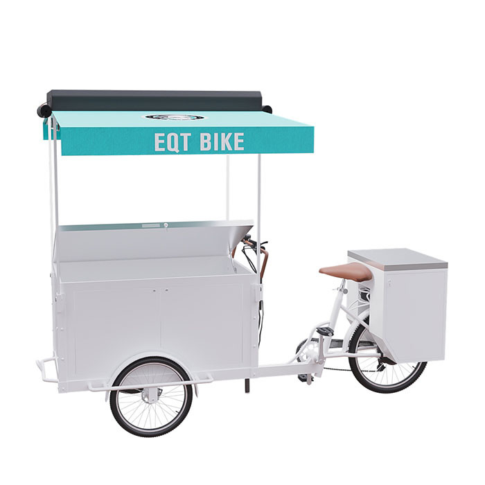 Operação conveniente personalizada do tipo da carga do triciclo bicicleta elétrica para uma pessoa