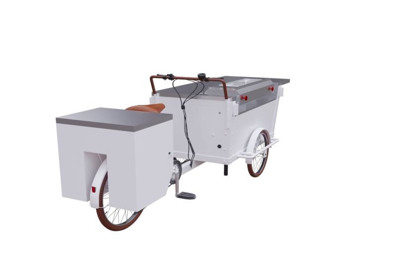 Bicicleta do alimento do ASSADO da carga da resistência de desgaste 48V 350W 300kg
