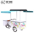 Bicicleta da carga do triciclo do gelado do refrigerador de EQT 138L para a venda Front Loading Pedal Assist Freezer de alta qualidade
